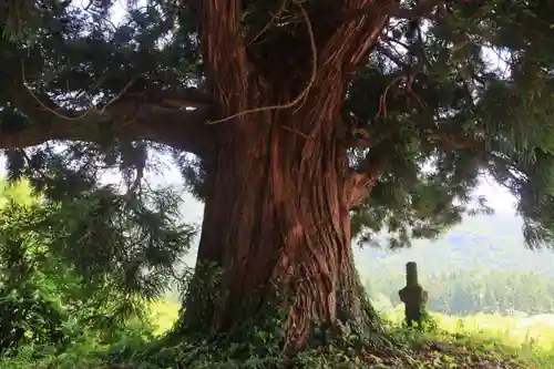 御札神社の歴史