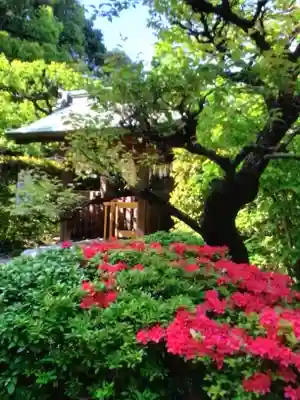 布多天神社(東京都)