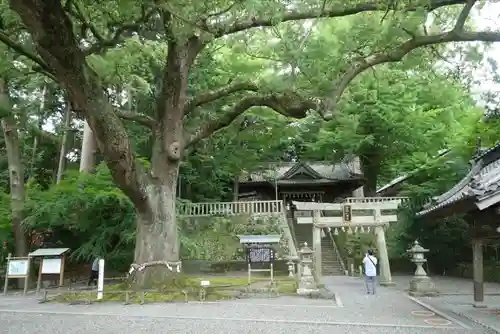 事任八幡宮の景色