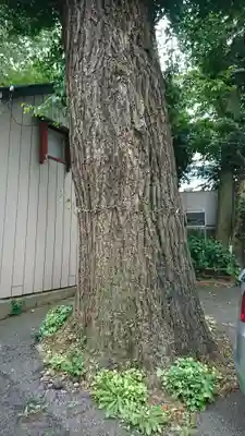 腰掛稲荷神社の自然