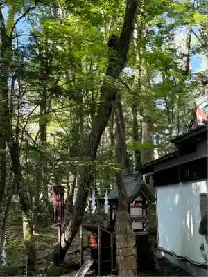 新屋山神社(山梨県)
