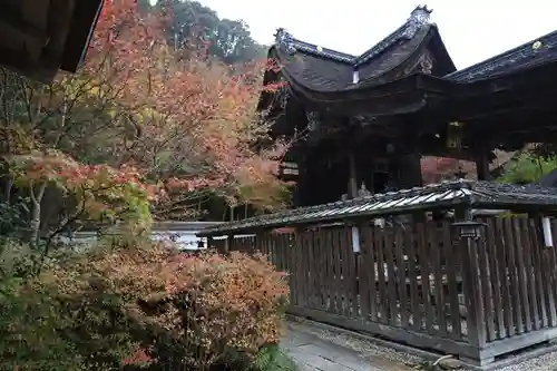 鍬山神社(京都府)