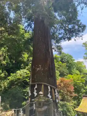 由岐神社(京都府)