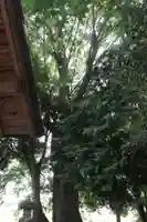 五十鈴神社(滋賀県)