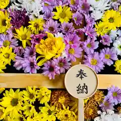 土津神社｜こどもと出世の神さまの手水