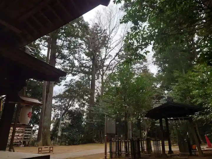 成田熊野神社のその他建物