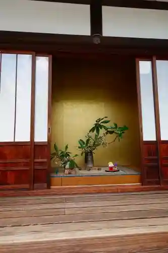 戒光寺（戒光律寺）の本殿・本堂