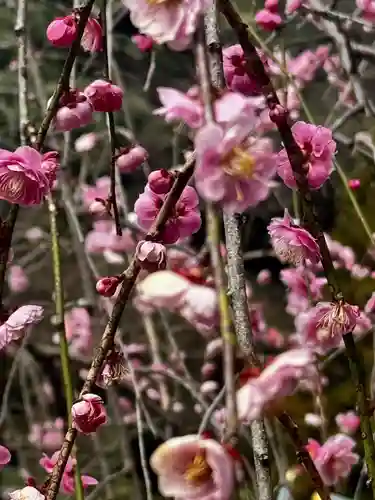 赤間神宮(山口県)