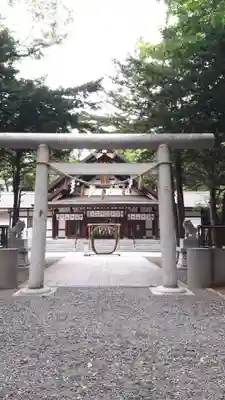 新琴似神社の鳥居
