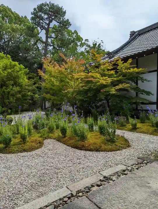 廬山寺(廬山天台講寺)(京都府)