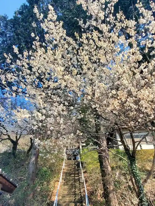 水使神社(栃木県)