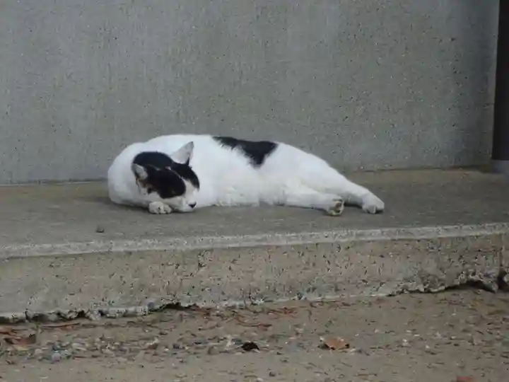 鎌数伊勢大神宮の動物