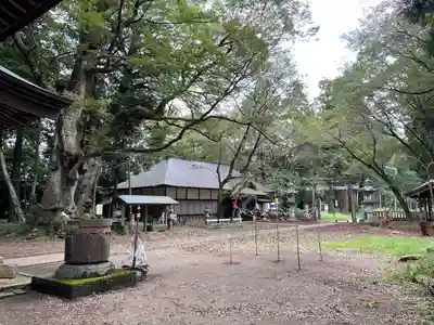 中村八幡宮(栃木県)