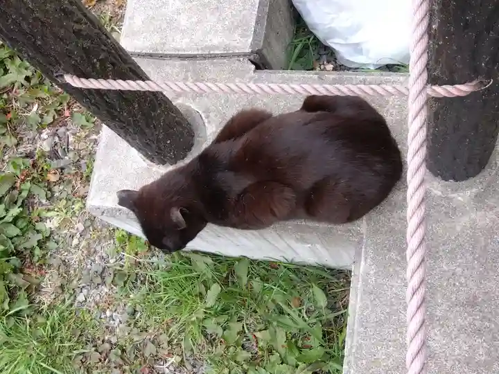 熊野若王子神社(京都府)