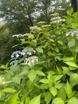 三毳神社（奥宮）(栃木県)
