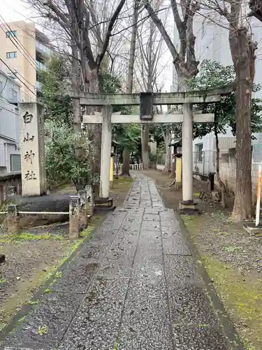 荻窪白山神社(東京都)