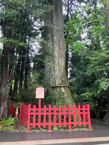 箱根神社(神奈川県)