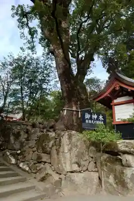 鹿児島神宮(鹿児島県)