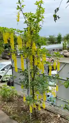 常昌院(神奈川県)