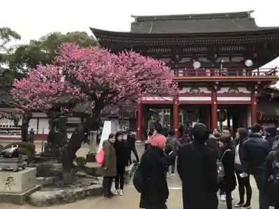 太宰府天満宮の山門・神門