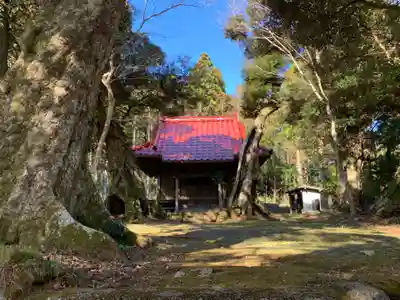 山神社の本殿・本堂