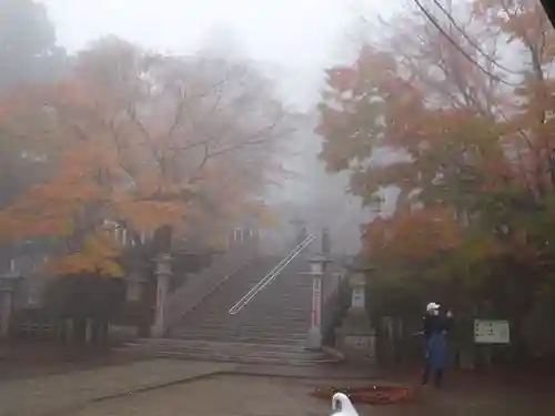 大山阿夫利神社のその他建物