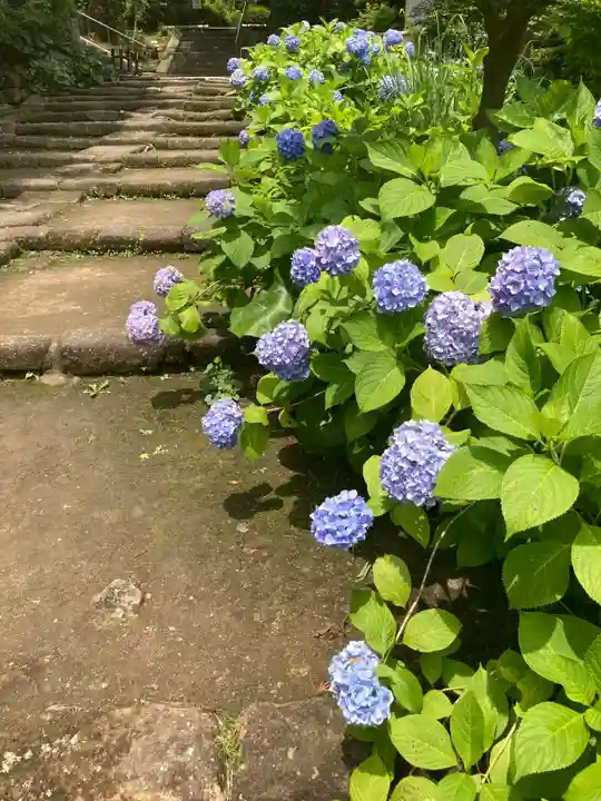 天源院(神奈川県)