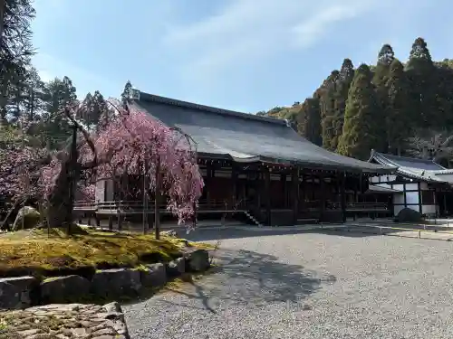 西芳寺の{uncategorized: "未分類", other: "その他", undefined: "問題あり", building: "その他建物", grave: "お墓", sacred_gate: "鳥居", guardian: "狛犬", statue: "像", buddha: "仏像", history: "歴史", nature: "自然", garden: "庭園", animal: "動物", pagoda: "塔", temizu: "手水舎", mountain_gate: "山門・神門", sanctuary: "本殿・本堂", subordinate: "末社・摂社", art: "芸術", scenery: "景色", jizo: "地蔵", ema: "絵馬", goshuin: "御朱印", omikuji: "おみくじ", items: "授与品その他", amulet: "お守り", goshuincho: "御朱印帳", eats: "食事", festival: "お祭り", votive_dance: "神楽", shichigosan: "七五三参", wedding: "結婚式", experience: "体験その他", initially: "初詣", around: "周辺", anti_infection: "感染症対策"}