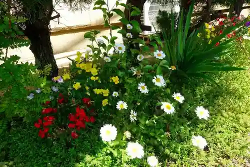 素戔嗚神社(大神神社境外末社)の庭園