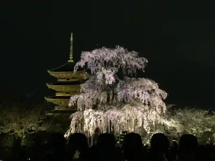 東寺(教王護国寺)(京都府)