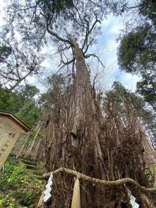 貴船神社結社の自然