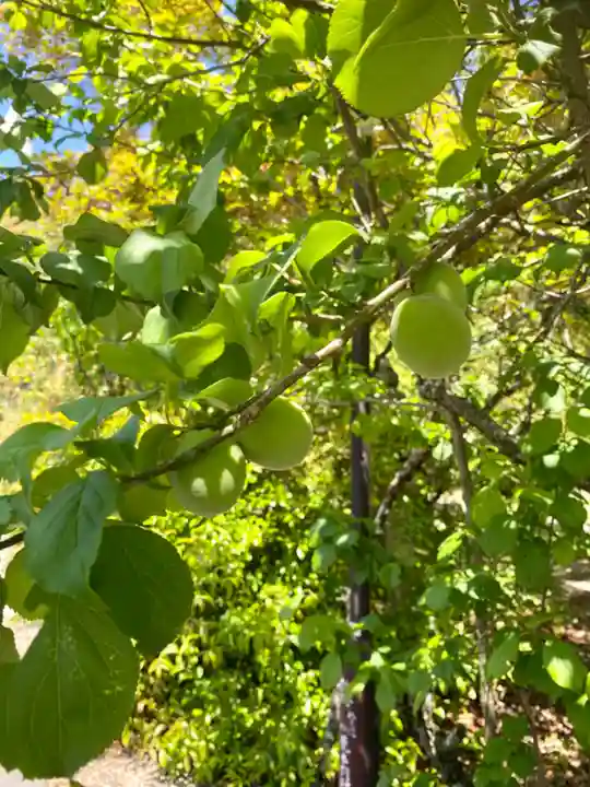京都乃木神社(京都府)
