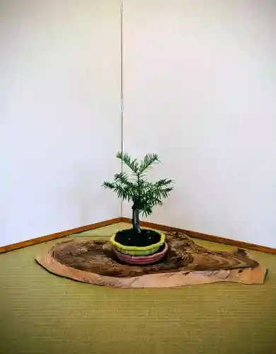 高知大神宮の{uncategorized: "未分類", other: "その他", undefined: "問題あり", building: "その他建物", grave: "お墓", sacred_gate: "鳥居", guardian: "狛犬", statue: "像", buddha: "仏像", history: "歴史", nature: "自然", garden: "庭園", animal: "動物", pagoda: "塔", temizu: "手水舎", mountain_gate: "山門・神門", sanctuary: "本殿・本堂", subordinate: "末社・摂社", art: "芸術", scenery: "景色", jizo: "地蔵", ema: "絵馬", goshuin: "御朱印", omikuji: "おみくじ", items: "授与品その他", amulet: "お守り", goshuincho: "御朱印帳", eats: "食事", festival: "お祭り", votive_dance: "神楽", shichigosan: "七五三参", wedding: "結婚式", experience: "体験その他", initially: "初詣", around: "周辺", anti_infection: "感染症対策"}