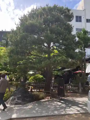 四柱神社の自然