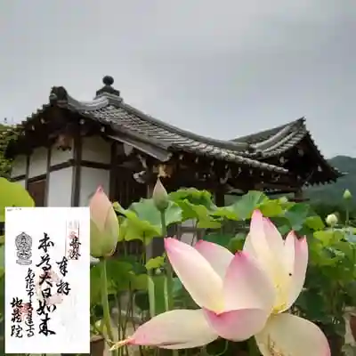 青蓮寺の建物その他