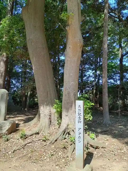 國王神社(茨城県)