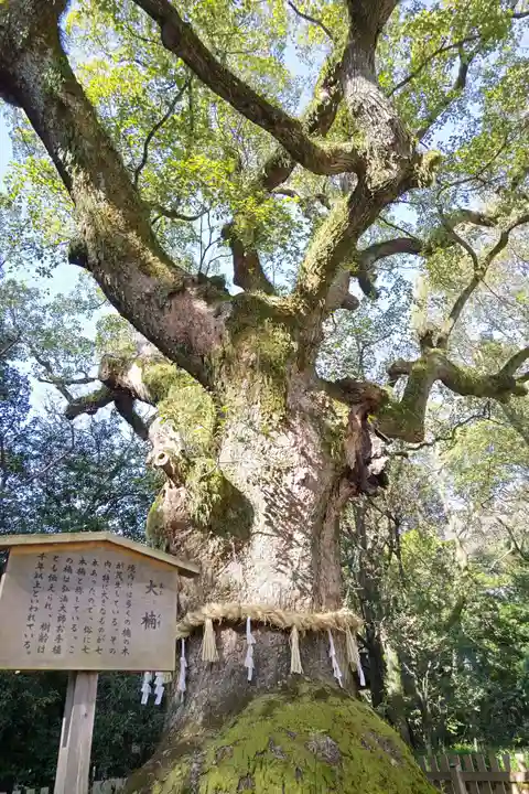 熱田神宮の自然
