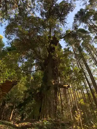 天照神社の自然