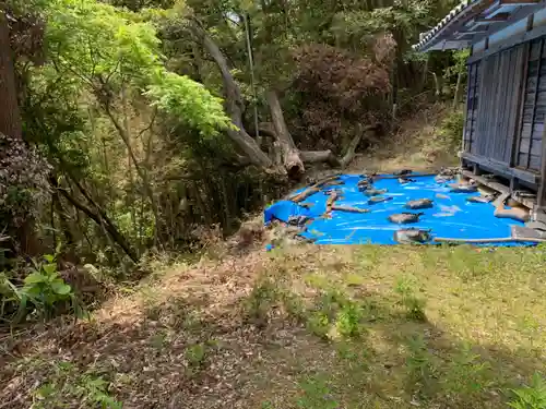 稲荷神社の自然