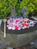 駒込妙義神社の{uncategorized: "未分類", other: "その他", undefined: "問題あり", building: "その他建物", grave: "お墓", sacred_gate: "鳥居", guardian: "狛犬", statue: "像", buddha: "仏像", history: "歴史", nature: "自然", garden: "庭園", animal: "動物", pagoda: "塔", temizu: "手水舎", mountain_gate: "山門・神門", sanctuary: "本殿・本堂", subordinate: "末社・摂社", art: "芸術", scenery: "景色", jizo: "地蔵", ema: "絵馬", goshuin: "御朱印", omikuji: "おみくじ", items: "授与品その他", amulet: "お守り", goshuincho: "御朱印帳", eats: "食事", festival: "お祭り", votive_dance: "神楽", shichigosan: "七五三参", wedding: "結婚式", experience: "体験その他", initially: "初詣", around: "周辺", anti_infection: "感染症対策"}