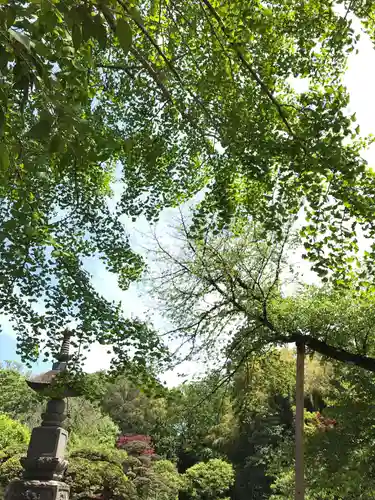 宝珠山　観泉寺の庭園