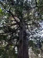 多田神社(兵庫県)