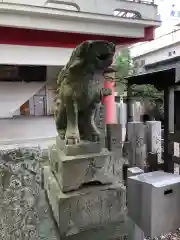 津田八幡神社の狛犬