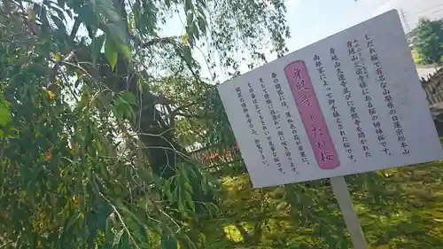 身照寺のその他建物