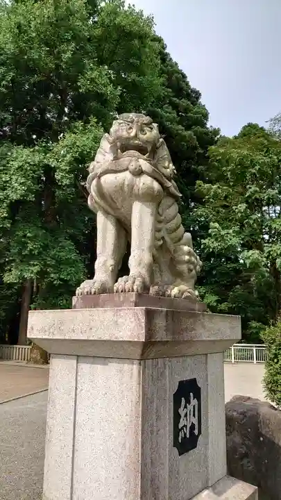 白山比咩神社の狛犬
