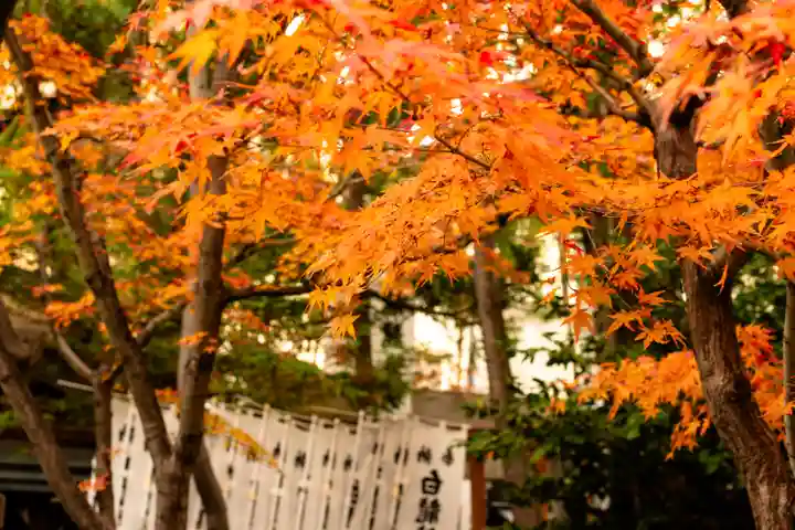 洲嵜神社(愛知県)