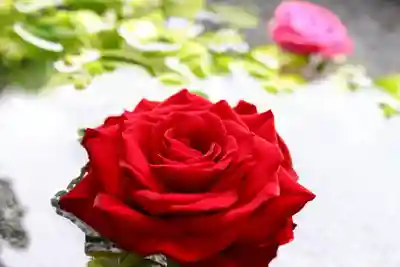 三津厳島神社の手水舎