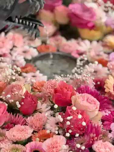 札幌諏訪神社の手水舎