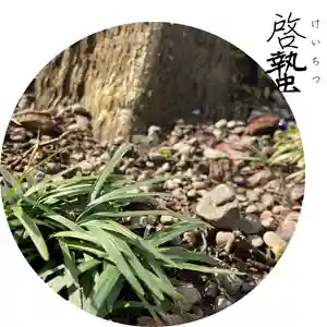 總社 和田八幡宮(福井県)(2022年03月04日(金) 21時09分13秒投稿)