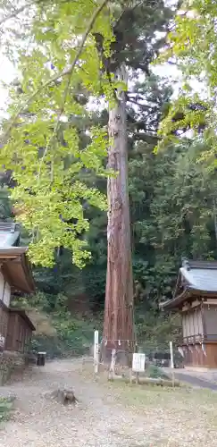 樺崎八幡宮(栃木県)